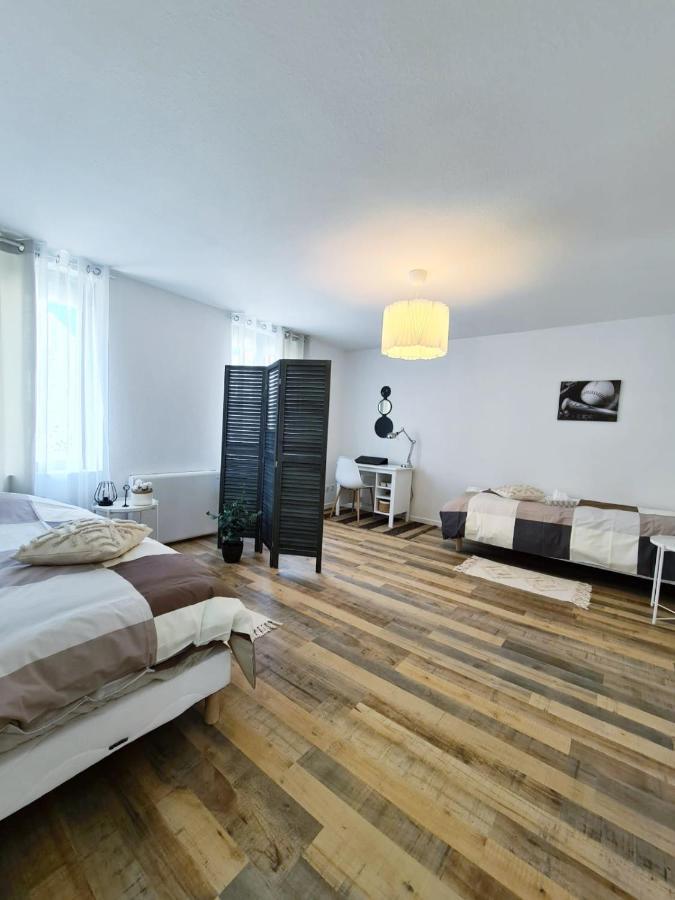 Apartment Le Raffine-parking Prive-proche Frontiere Bale Saint-Louis (Haut-Rhin)